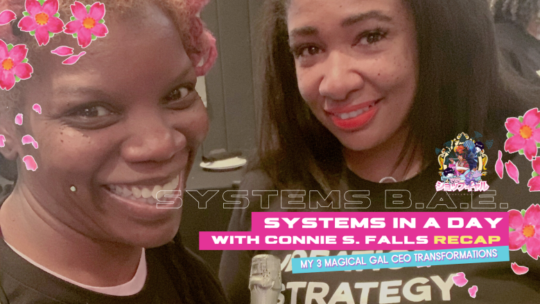 EVENT REPORT: Systems in a Day WORKShop, with Connie S. Falls